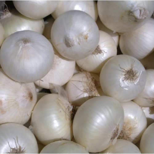 Smugglers Caught With $3 Million Of Meth Disguised As Onions