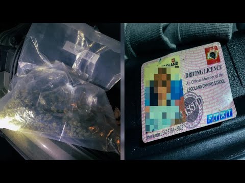 Stoner Whips Out Legoland License After Police Chase
