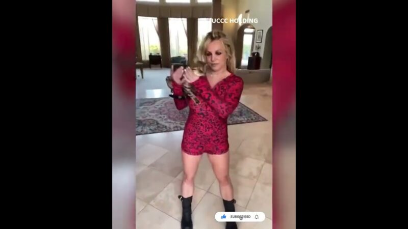 Britney Spears Bizzare Cat Dance