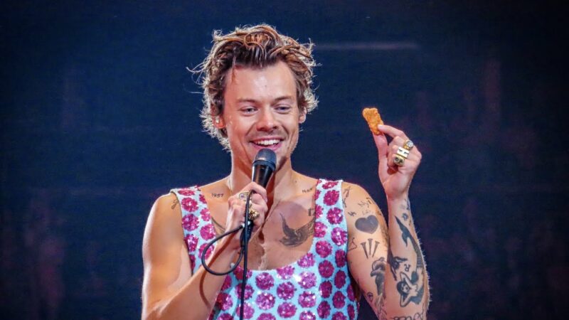 Harry Styles Stops Concert To Toss Nuggets With Fan