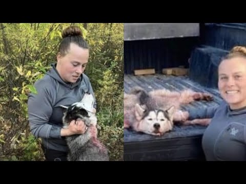Montana Woman Kills & Skins Husky Pup Believing It Was A Wolf!